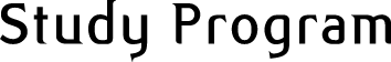 Study Program