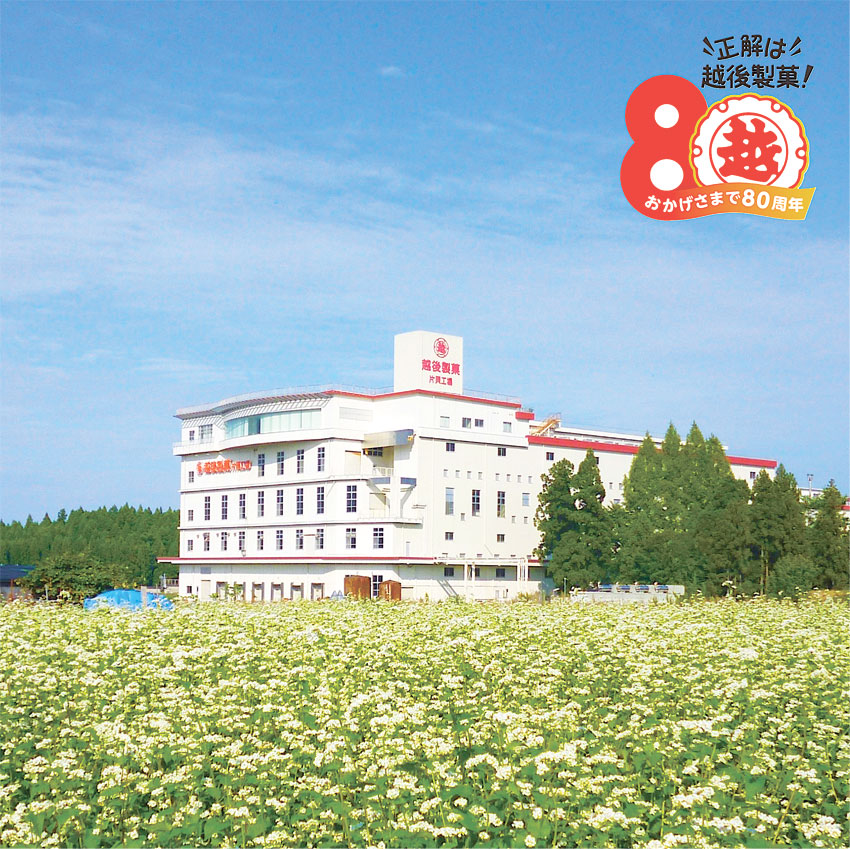 越後製菓㈱